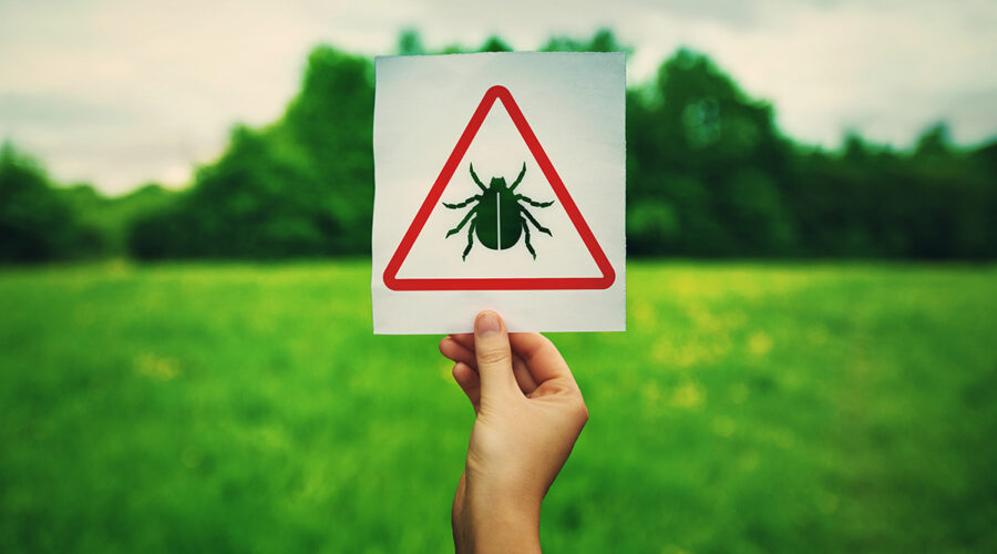 Lyme Disease Symptoms, Diagnosis, and Treatment June 2023