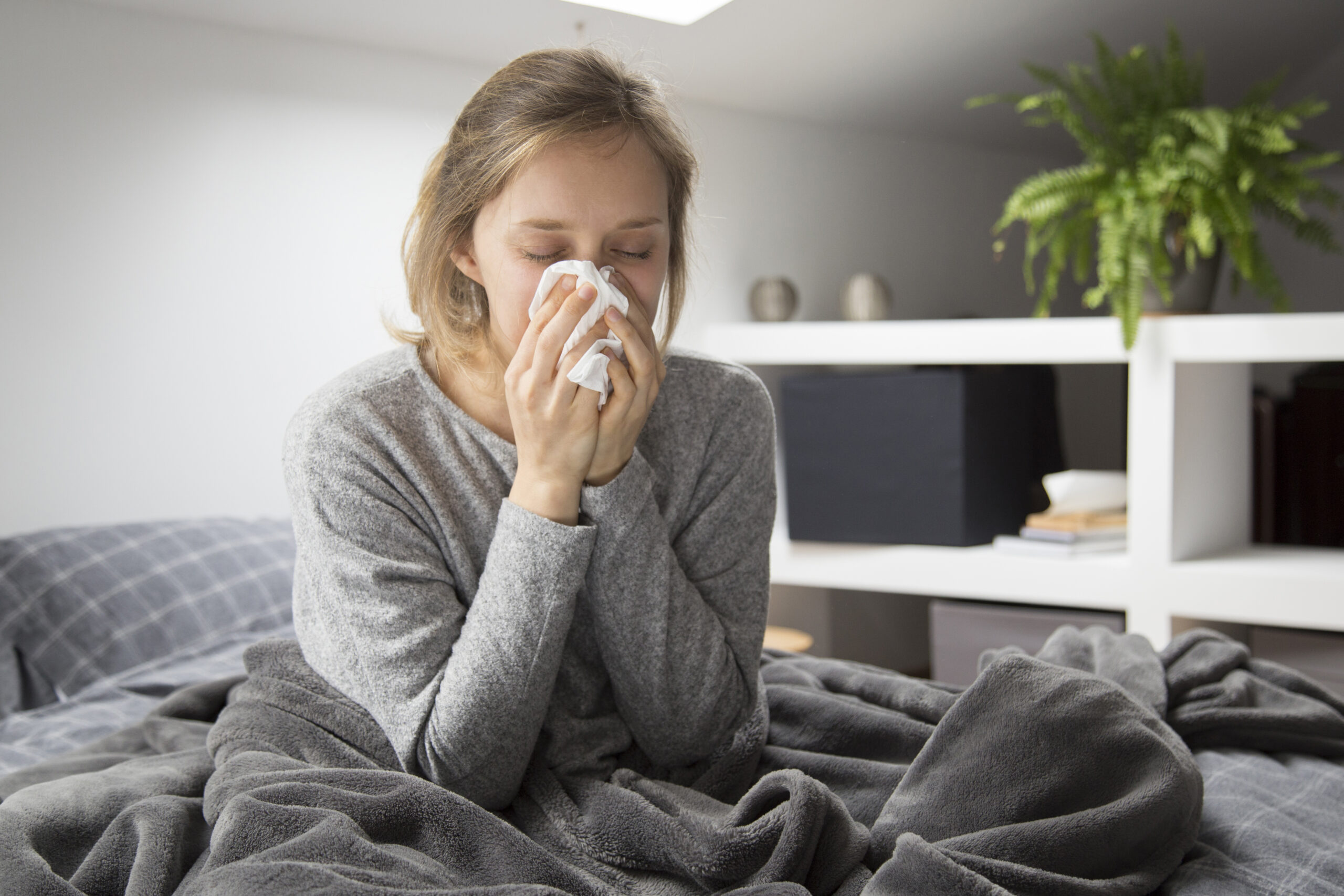 Sinus Infection: What Is, Symptoms, Causes, and Easy Treatment