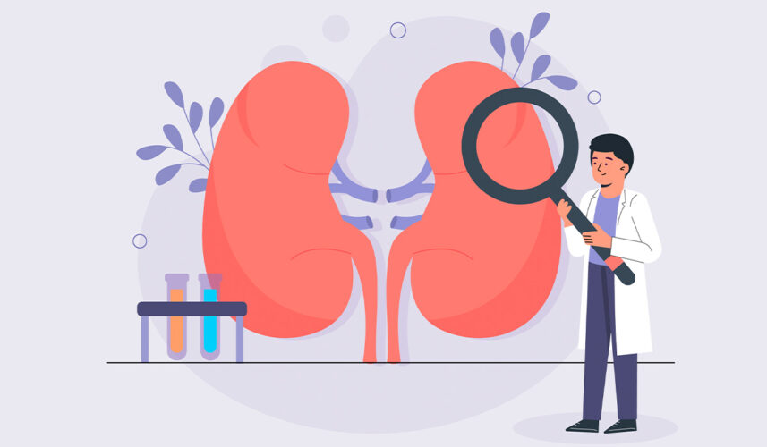 Adrenal Fatigue: What Is, Important Facts, Risk, and Treatment
