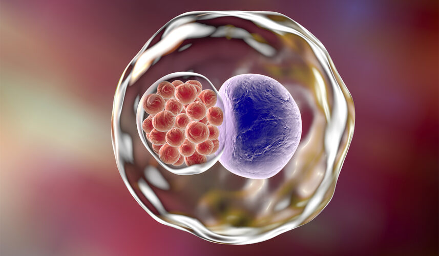 Chlamydia: Causes, Symptoms, Treatment & Prevention