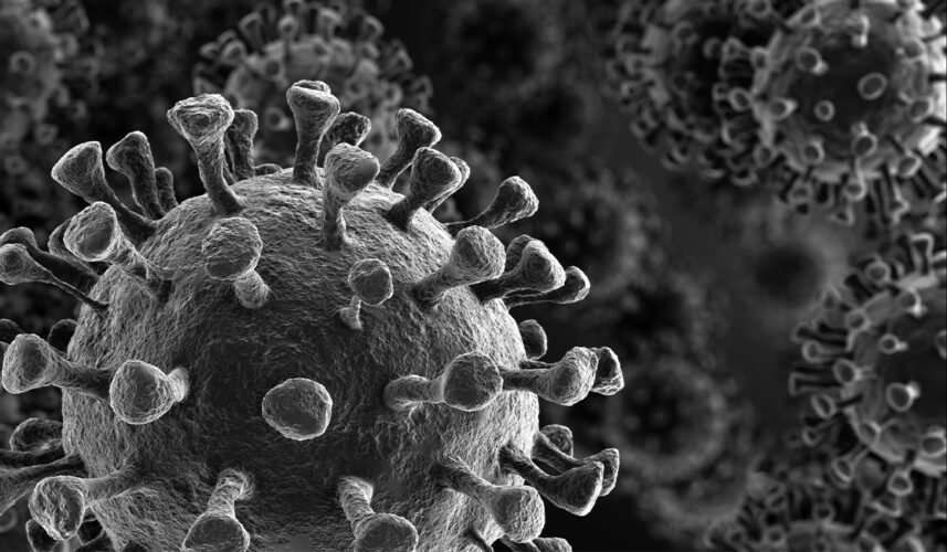 COVID 19: Causes, Symptoms, and Treatment