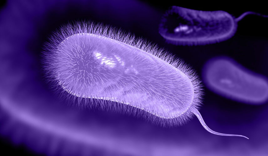 H. Pylori Infection: How Do You Get, Information, Symptoms, and Treatment