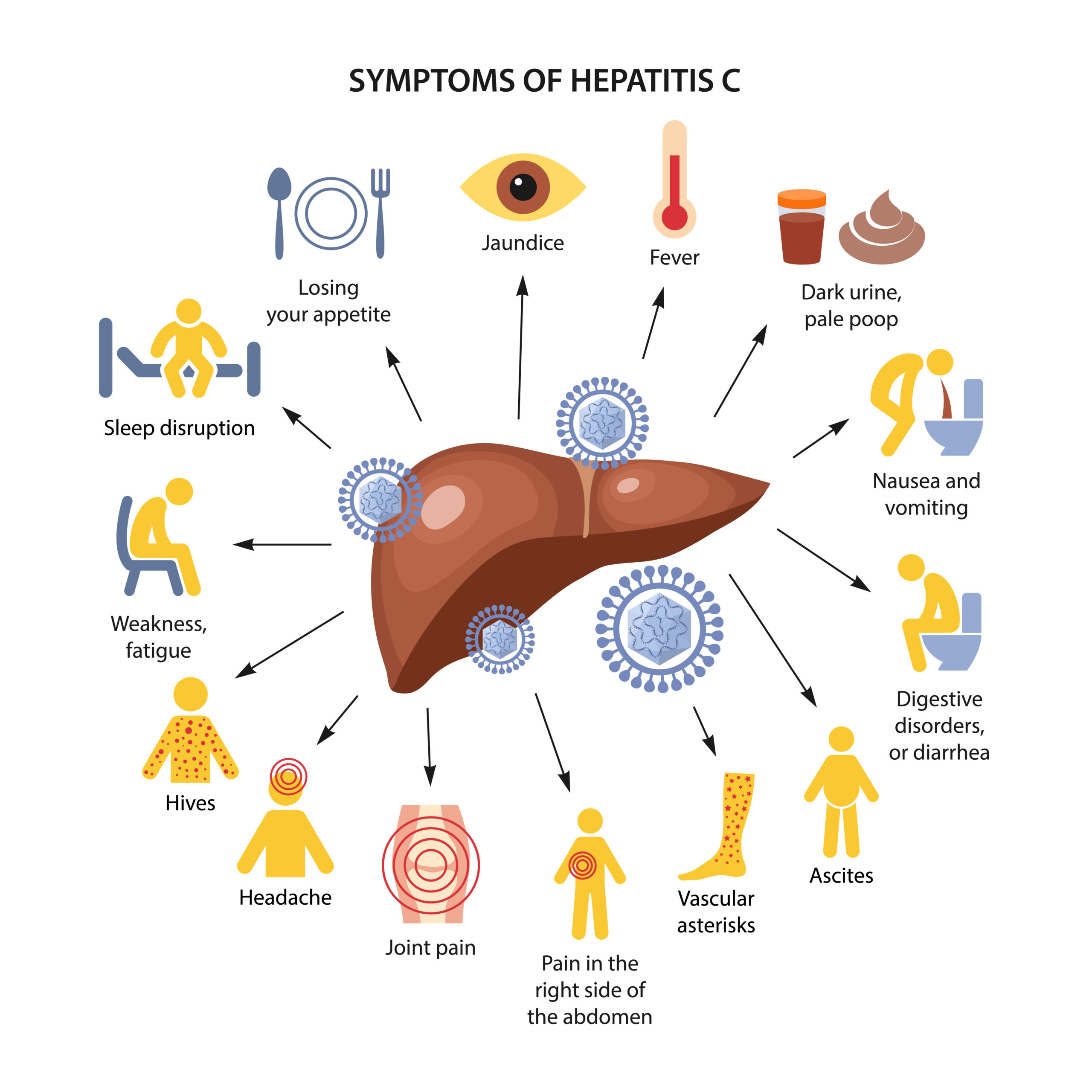 Hepatitis C: What Is, Symptoms, Transmission, and Treatment