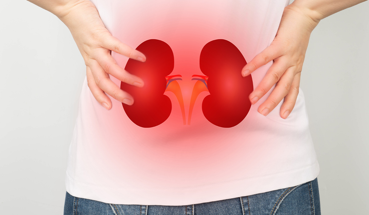 Kidney Infection What Is Symptoms Treatment And More