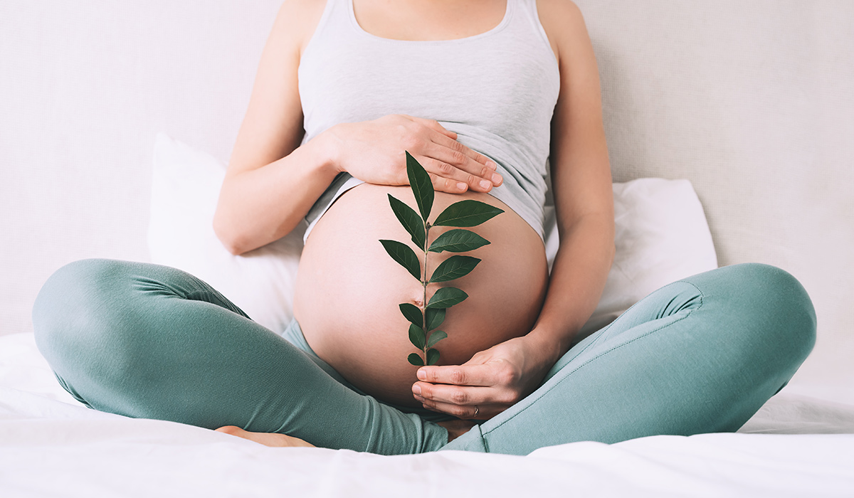 Pregnancy: Everything You Need to Know