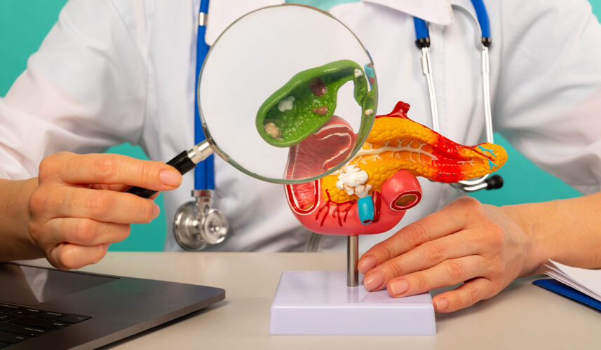Gallbladder: What Is It, Functions, Diseases, and Risk Factors