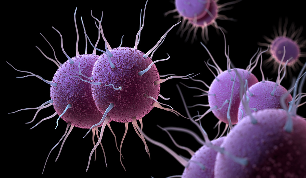 Gonorrhea: First Symptoms, Causes, and Effective Treatment