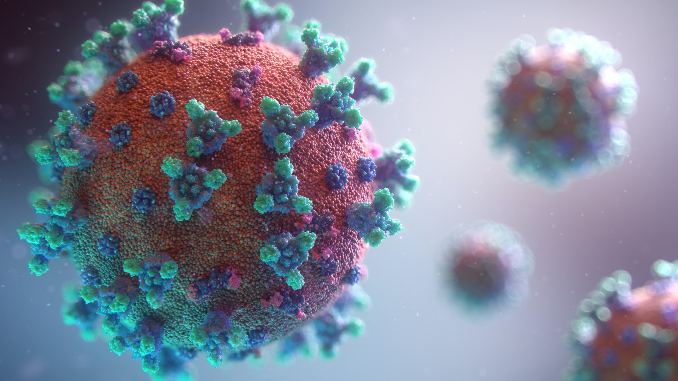 Norovirus: What Is, Symptoms, Causes, and Treatment