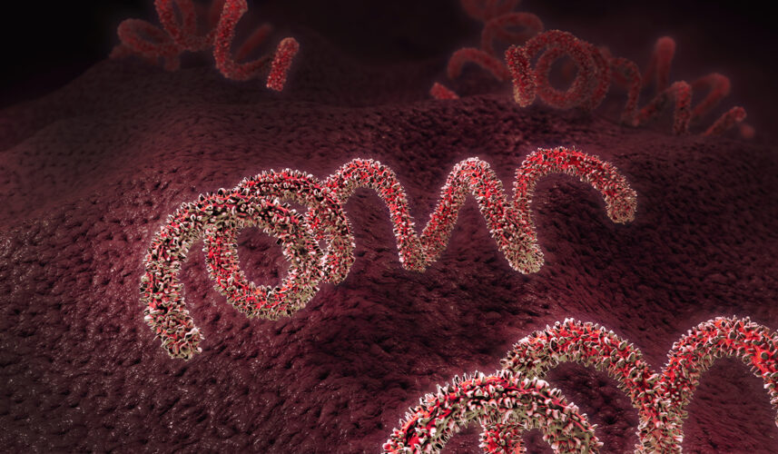Syphilis: What It Is, Risk Factors, Stages, Diagnosis, and Treatment