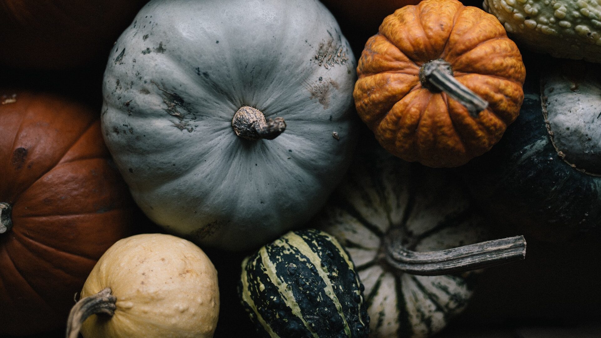 Pumpkin: What Is, How to Roast, Cook, History, Types, and Growing