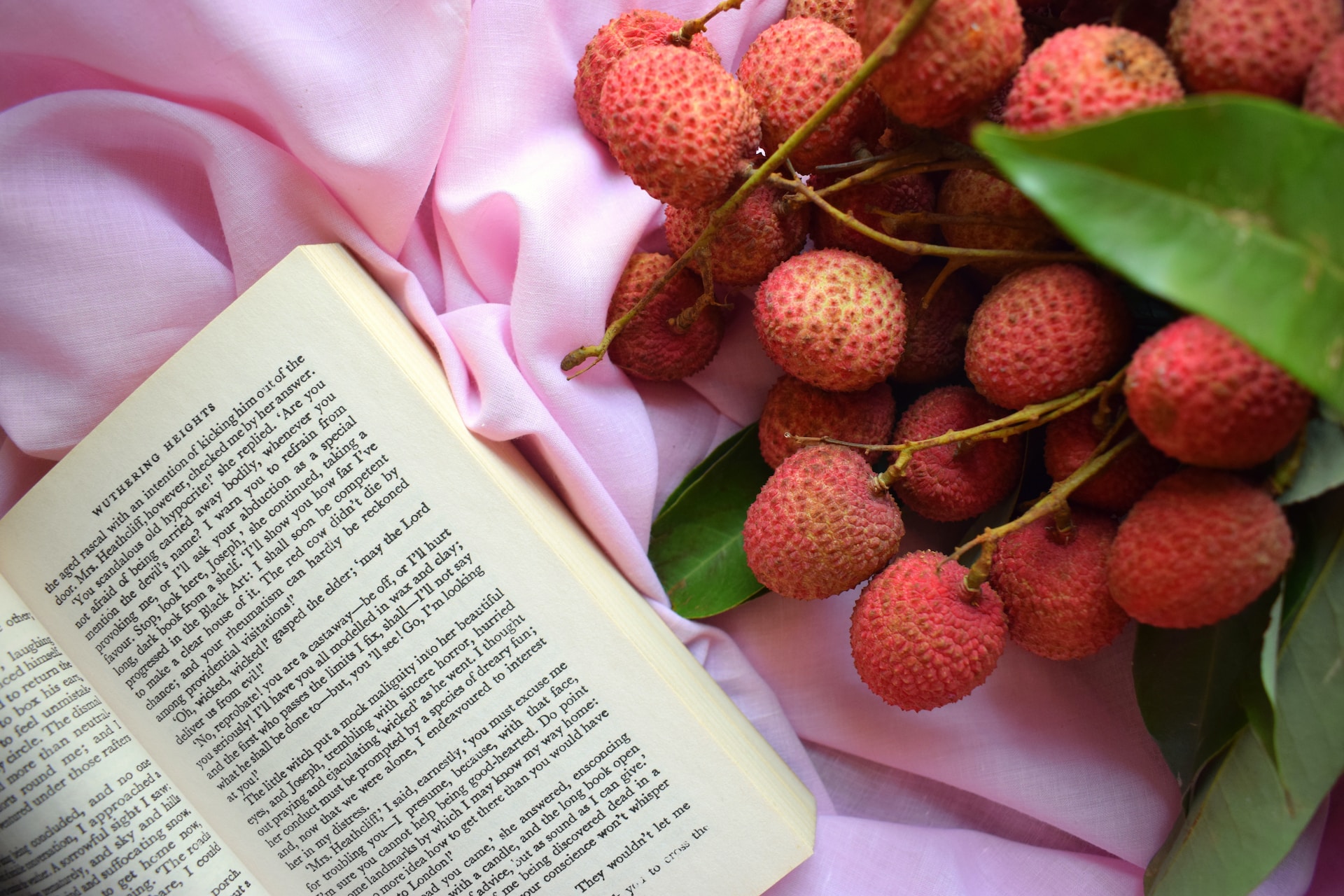 Lychee: What Is, Can Dog Eat, Growing, Pronunciation, and More