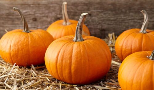 Pumpkin: What Is, History, Types, Growing, and Nutritional Value