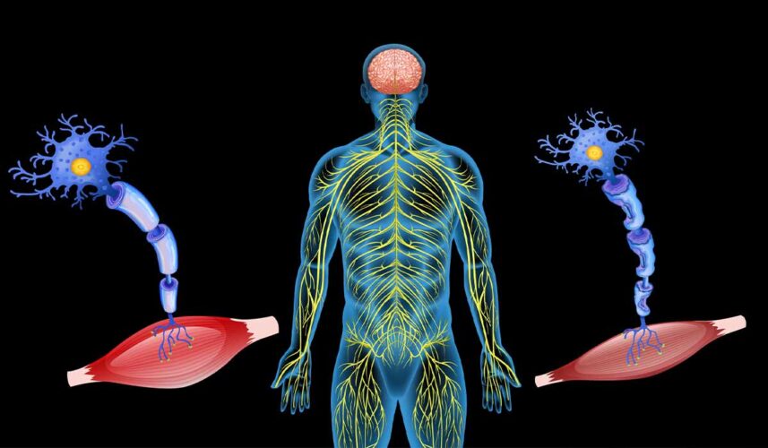 ALS: What Is, Causes, Symptoms, Diagnosis, and Diet