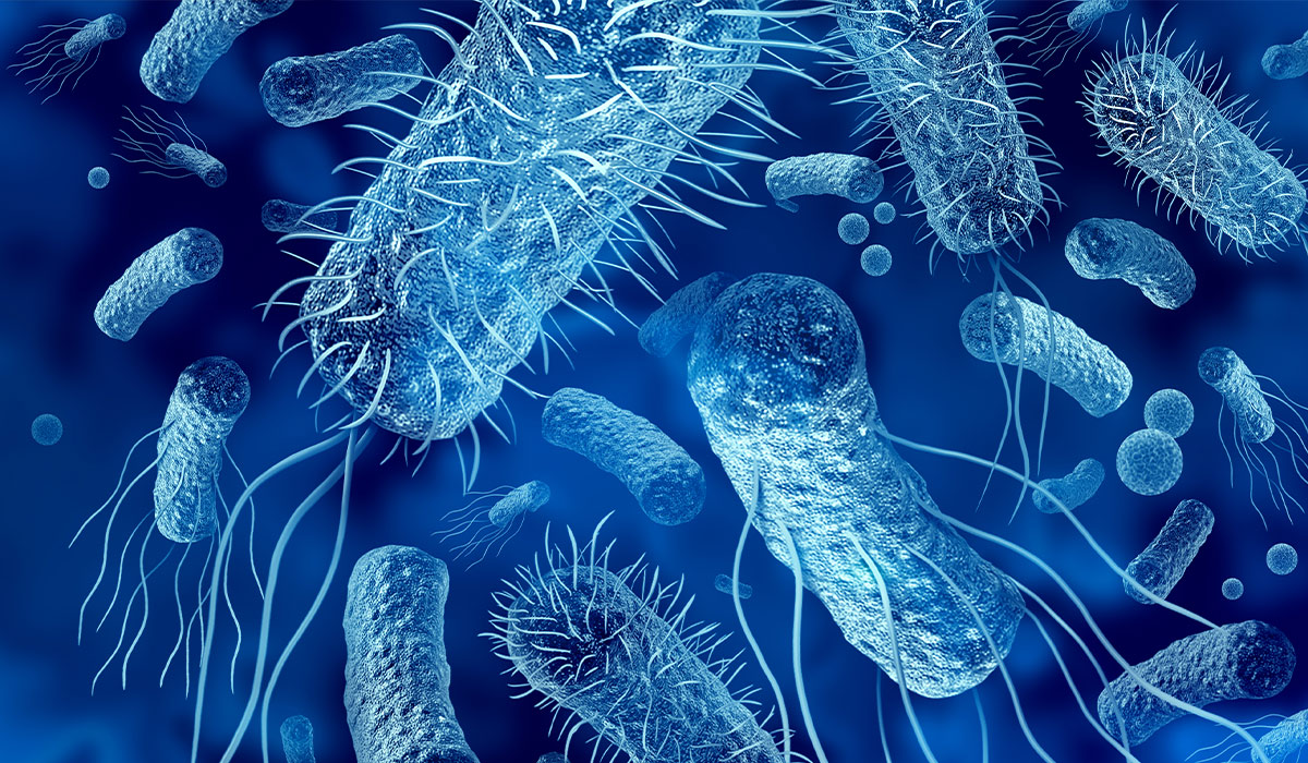 Bacterial Infection: What Is, Symptoms, Complications, and Prevention