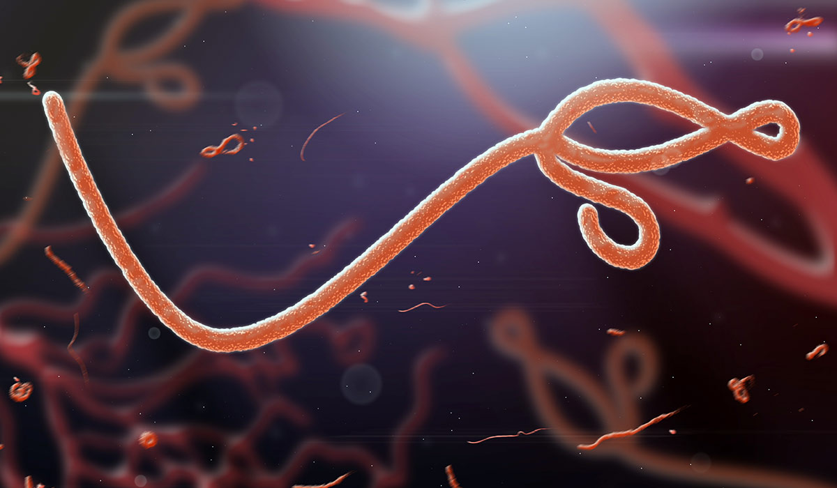 Ebola: What Is, Types, Spreading, Symptoms, and Signs