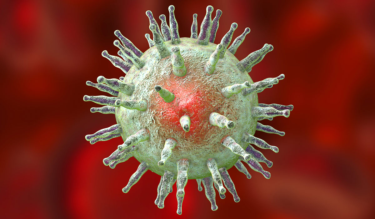 Epstein Barr Virus: What Is, Symptoms, Diseases, and Treatment
