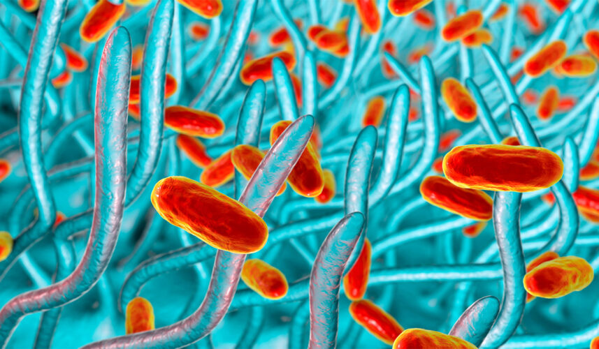 Whooping Cough: What Is, Causes, Stages, Diagnosis, and Treatment