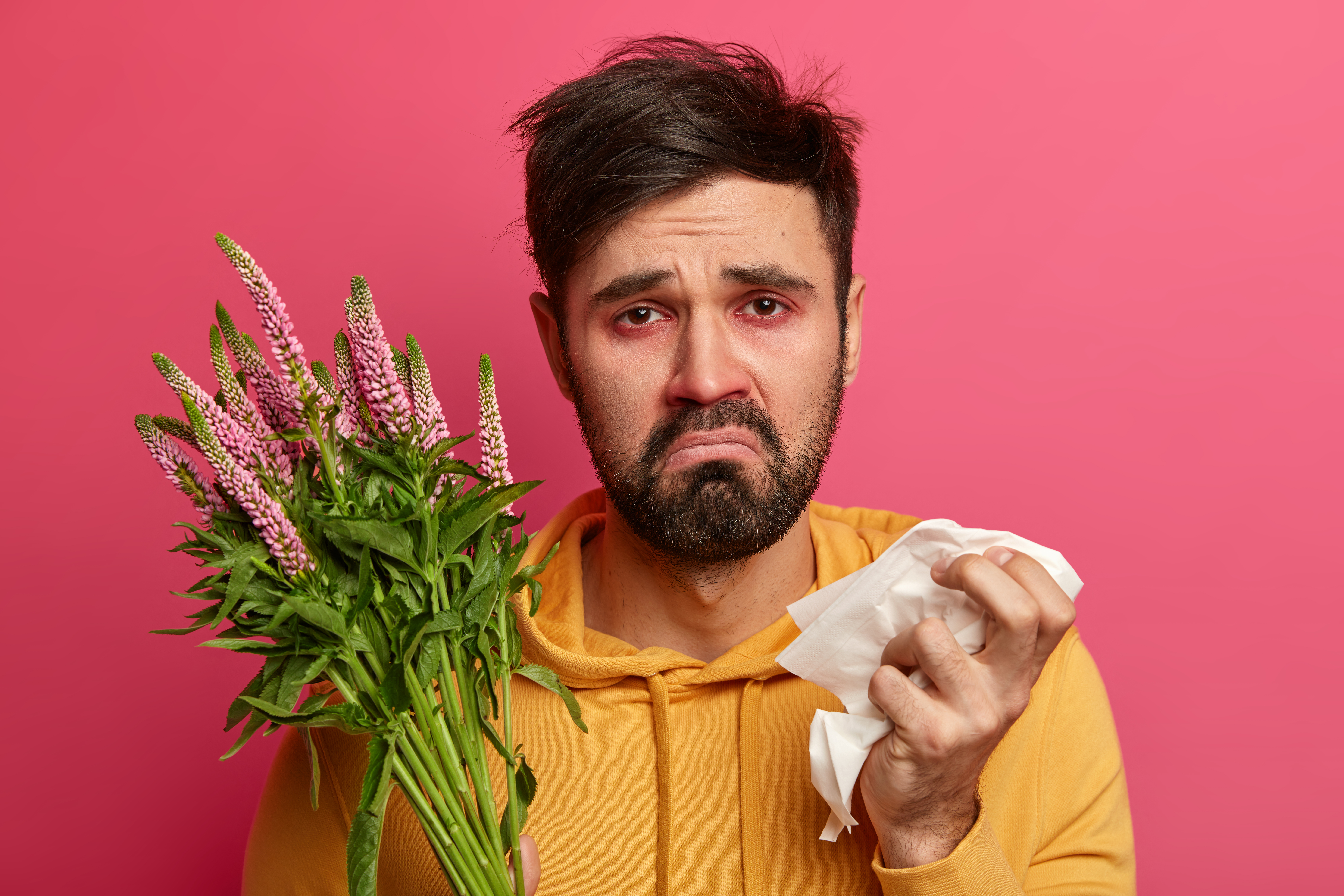 Hay Fever: What Is, Causes, Symptoms, Diagnostics, and Treatment