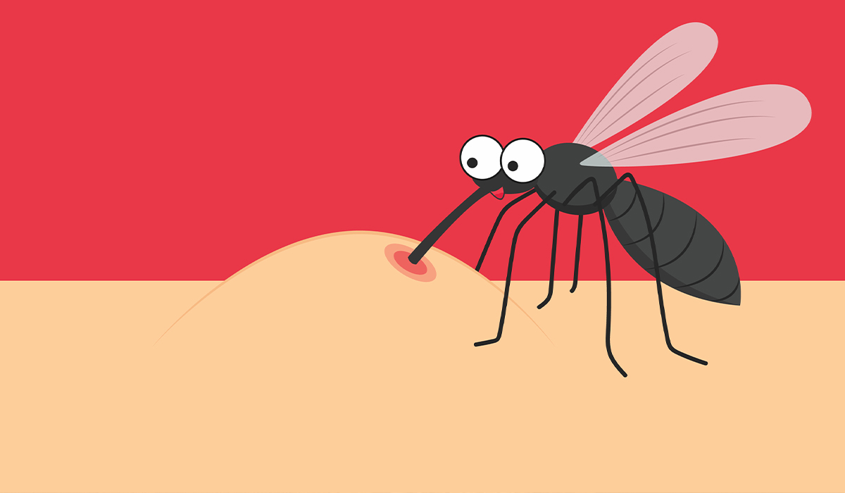 Mosquito Bites: What Are, Symptoms, Treatment, and Prevention