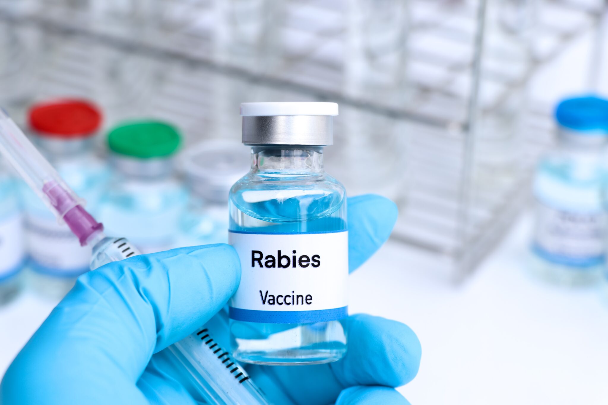 Rabies What Is Causes Symptoms Diagnosis and Prevention