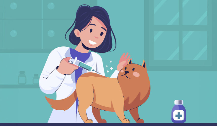 Rabies: What Is, Causes, Symptoms, Diagnosis, and Prevention