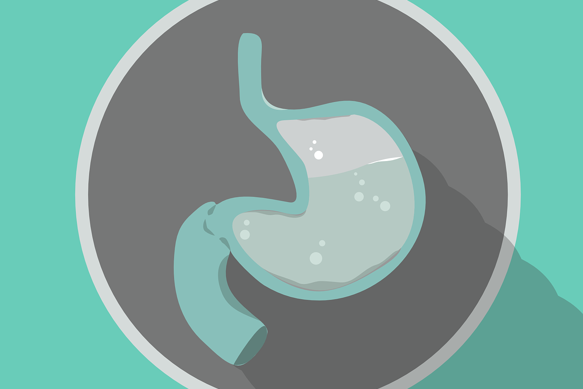 Gastroparesis: What Is, Causes, Symptoms, Diagnosis, and Treatment