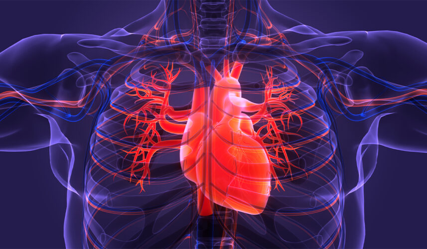 Angina: What Is, Causes, Symptoms, and Diagnosis