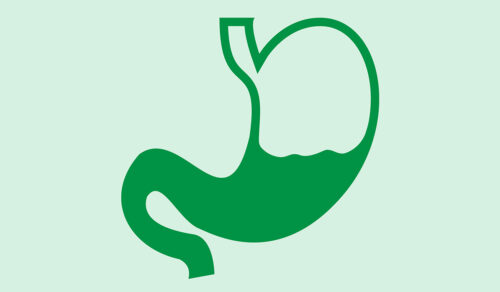 Gastroparesis: What Is, Causes, Symptoms, Diagnosis, and Treatment
