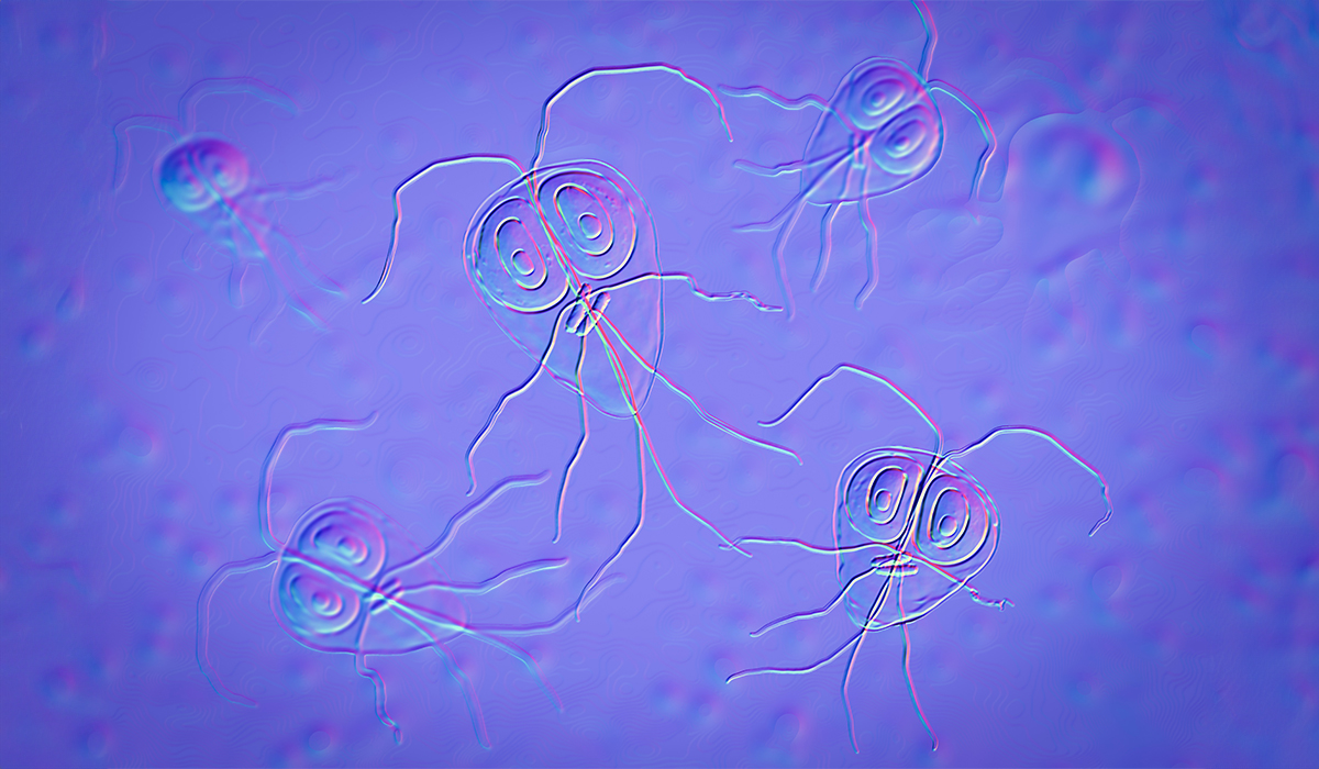 Giardia: What Is, Risk Factors, Symptoms, Complications, And Treatment
