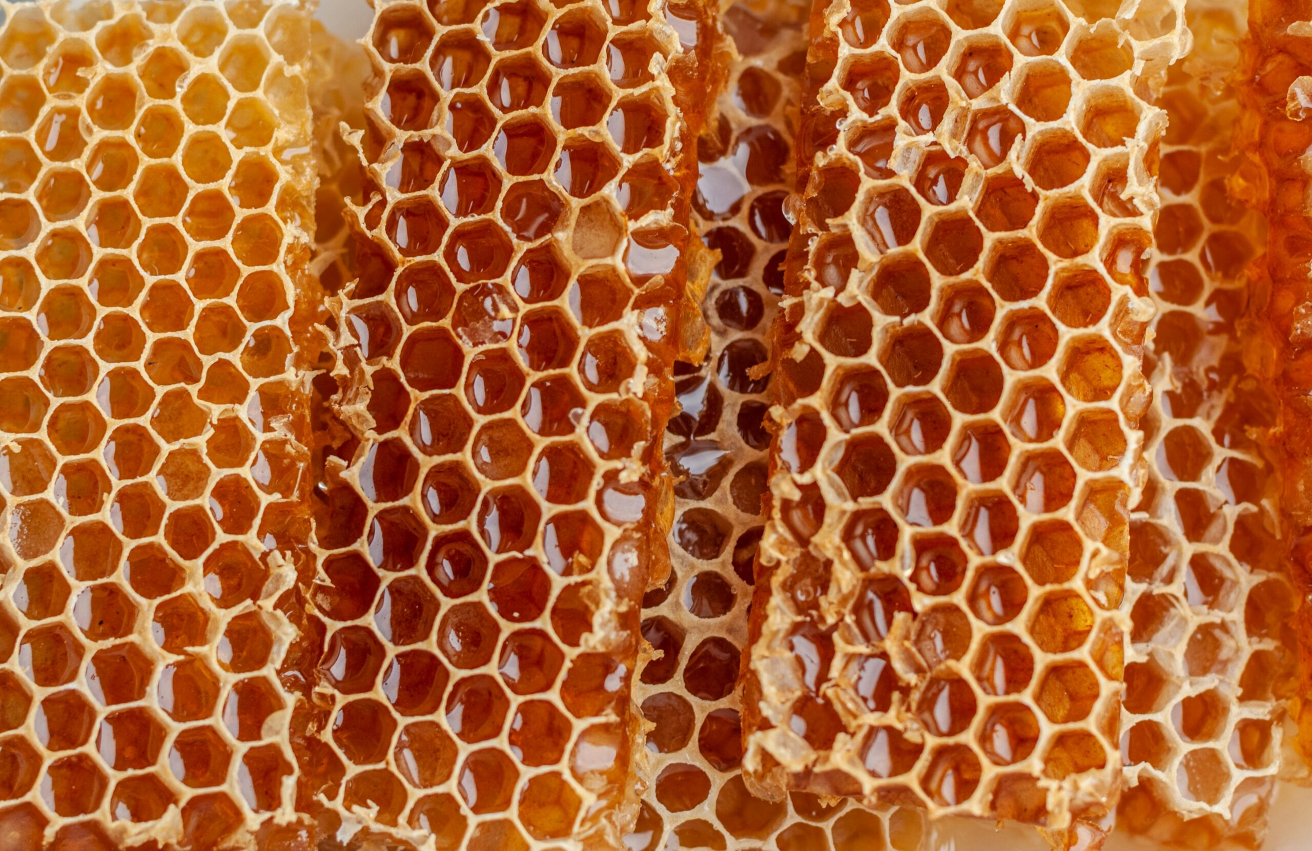 Honey: What Is, Nutritional Value, Health Benefits, Uses, and More