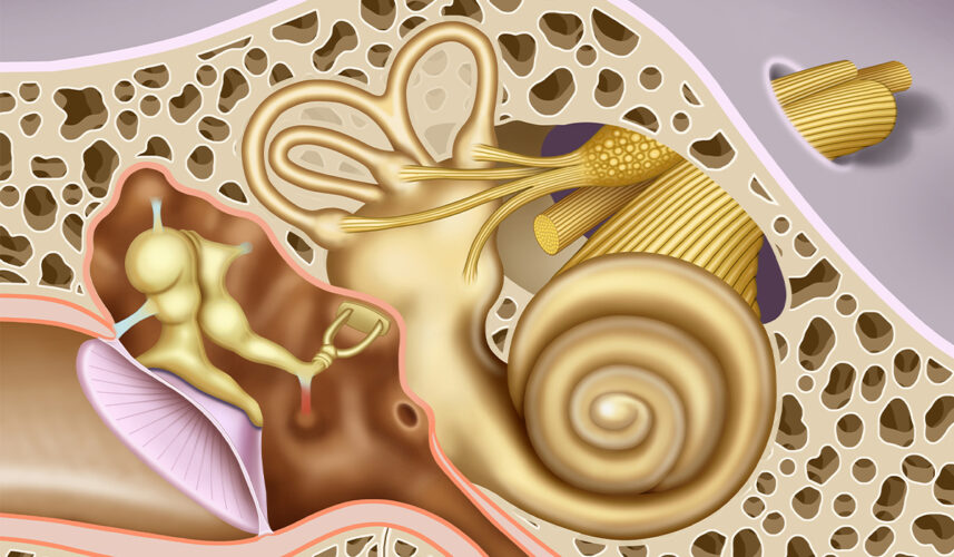 Labyrinthitis: What Is, Causes, Symptoms, Diagnosis, and Treatment