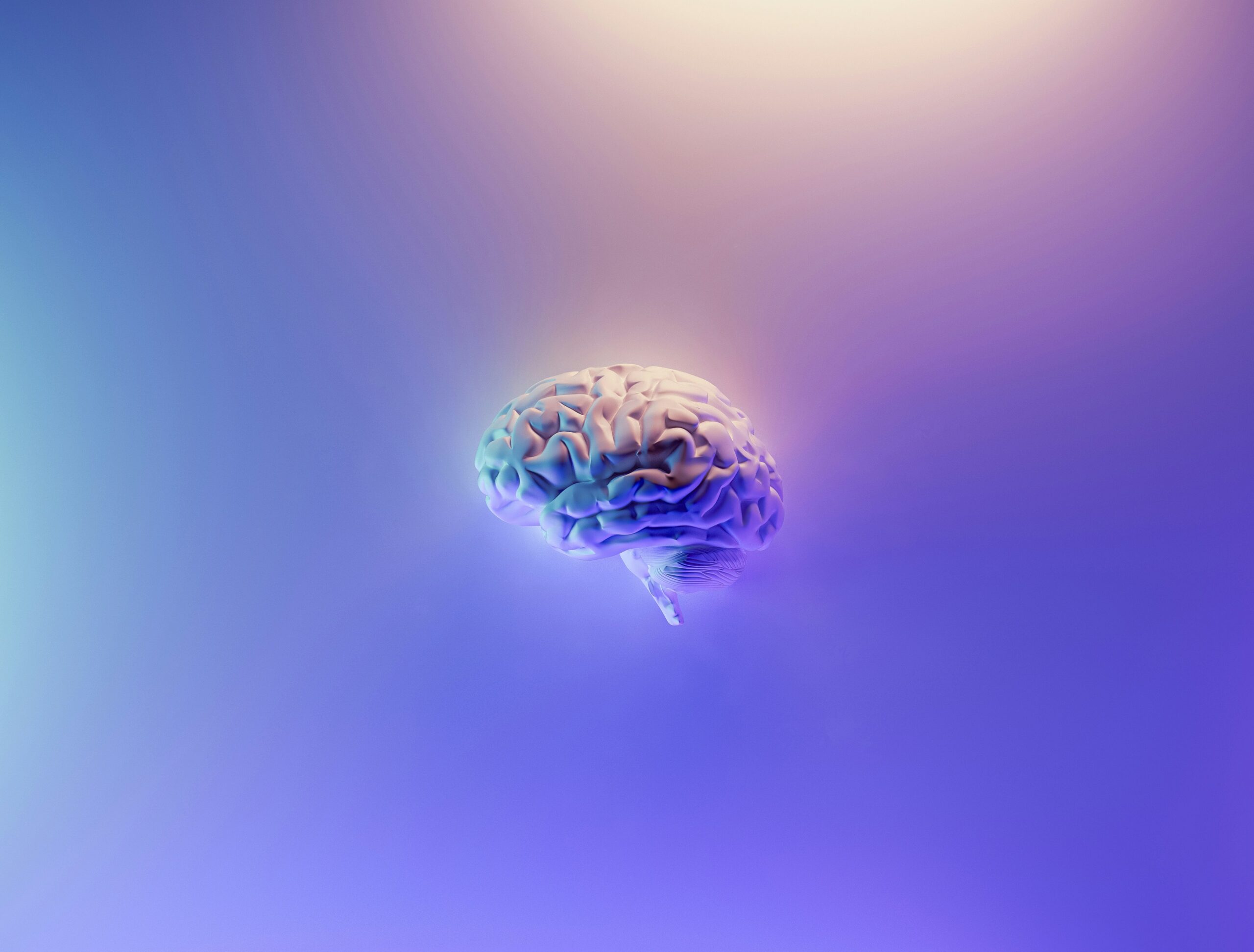 Encephalopathy: What Is, Types, Diagnosis, and Treatment