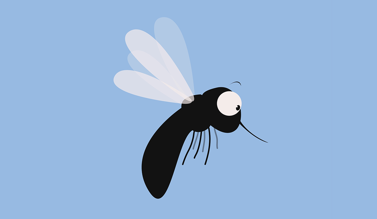 Gnats: What Is, Types, Life Cycle, Dangers, and Prevention