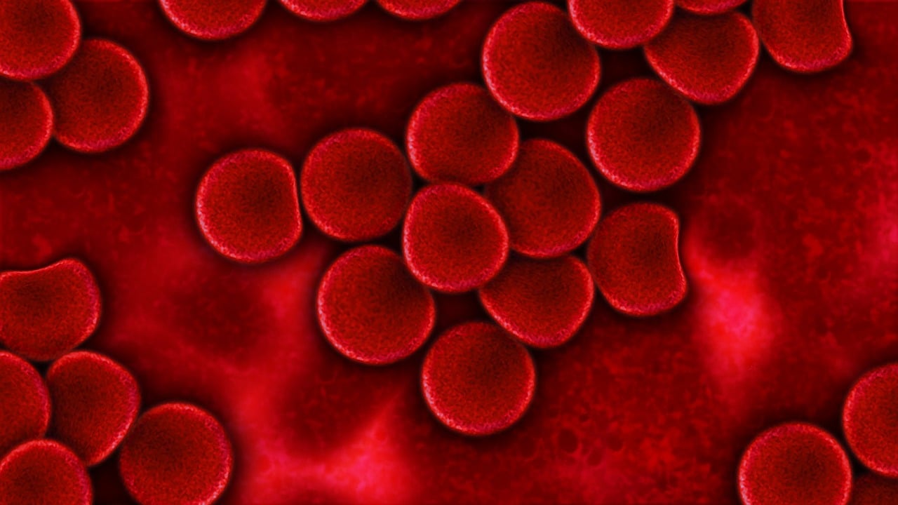Hemoglobin: What Is, Levels, Causes, and Symptoms