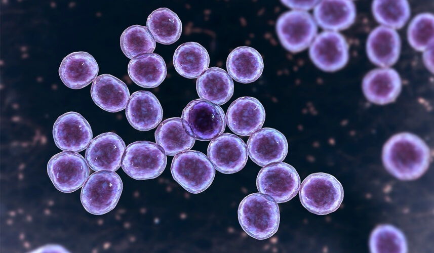 MRSA Infection: What Is, Causes, Symptoms, Diagnosis, and Treatment