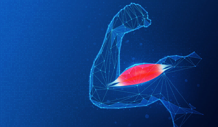 Sarcopenia: What Is, Signs, Diagnosis, Treatment, and Prevention