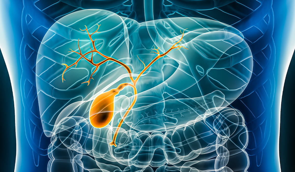 Bile: What Is, How It Works, Conditions, Risk Factors, and Treatment