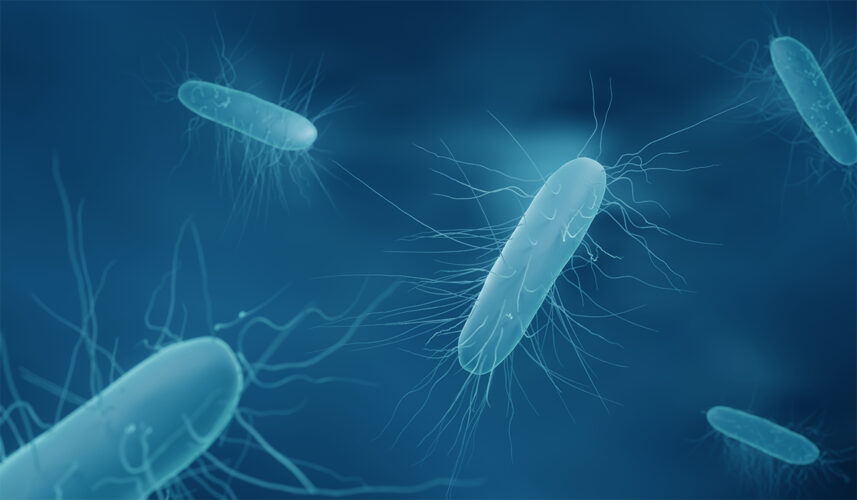C. Diff: What Is, Spreading, Symptoms, Diagnosis and Treatment
