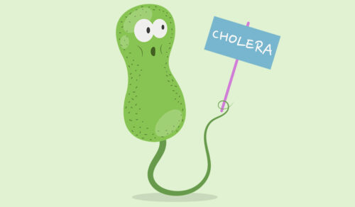 Cholera: What Is, Causes, Symptoms, and Diagnosis