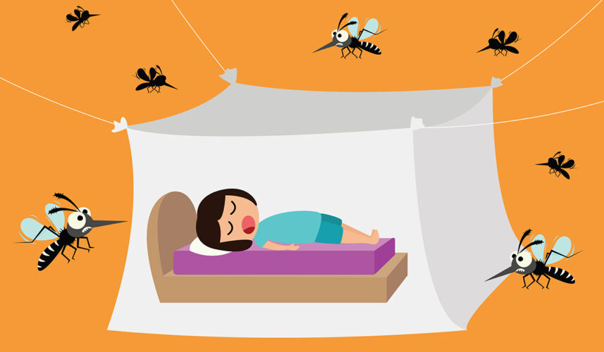 Dengue Fever: What Is, Causes, Symptoms, and Treatment