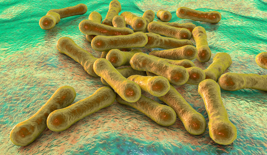 Diphtheria: What Is, Causes, Types, Symptoms, Diagnosis, and Treatment