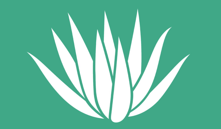 Agave: What Is, Products, Health Benefits, Syrup, and Its Nutrients