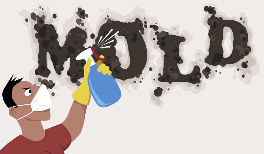 Black Mold: What Is, Symptoms, Treatment, and Prevention