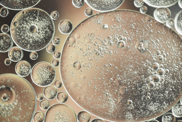 The clinical toll of invasive fungal diseases