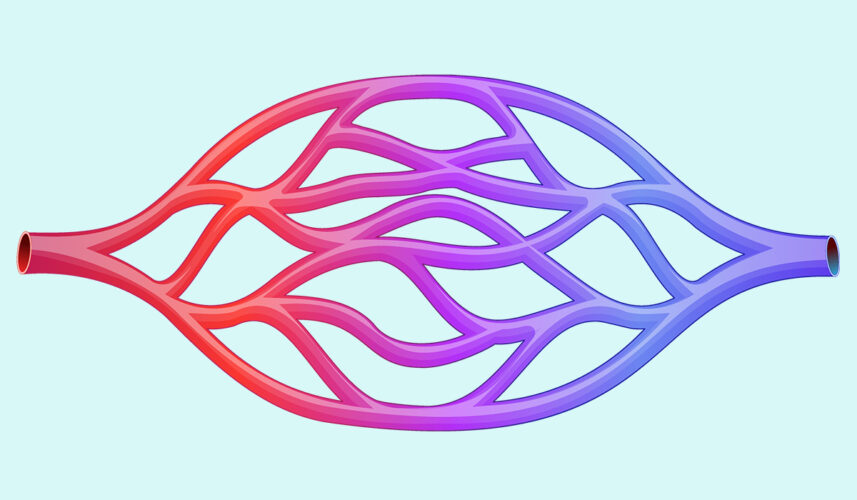 Capillaries: What Are, Capacities, Sorts, and Dysfunctions 
