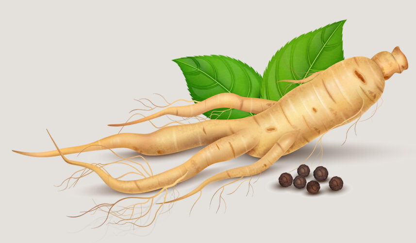 Ginseng: What Is, Health Benefits, Components, Uses, and Side Effects