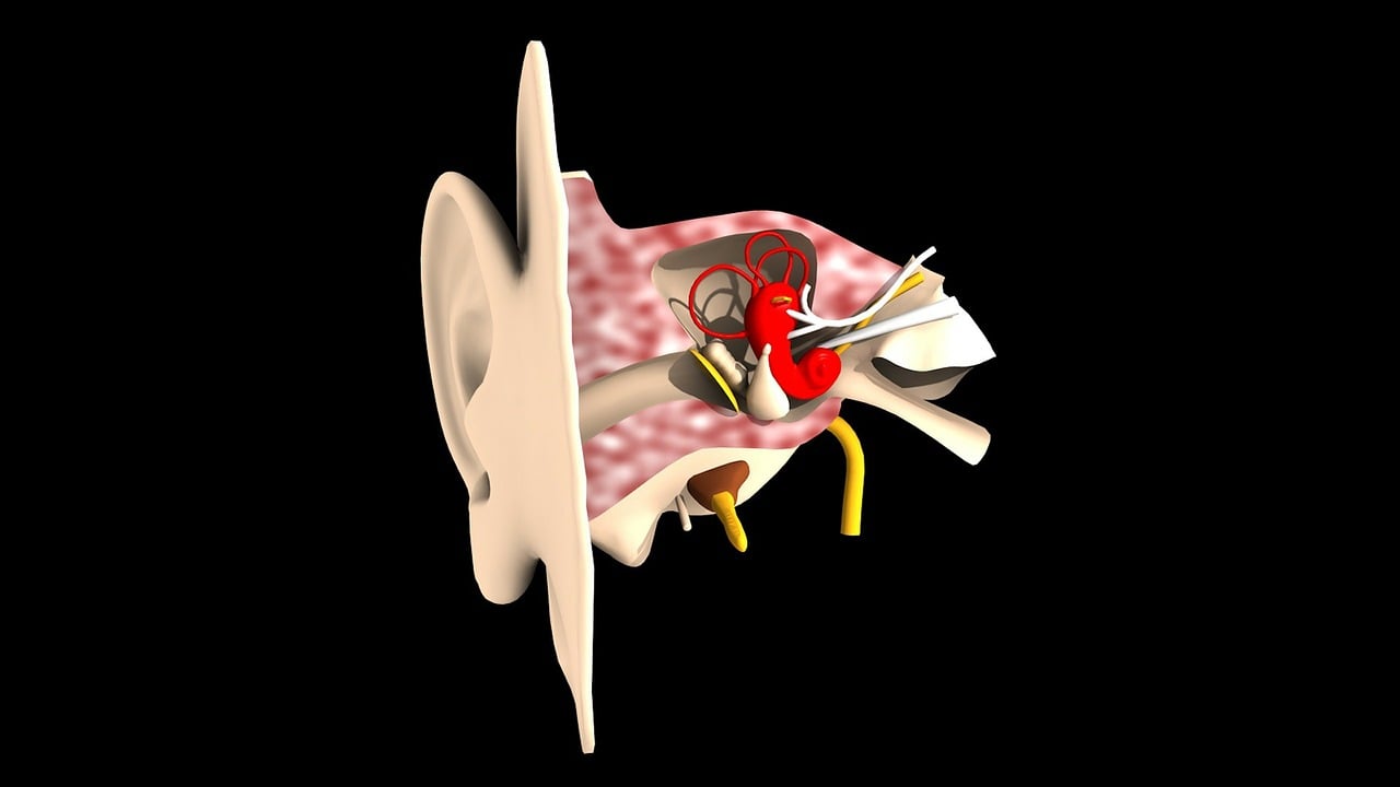 Hearing Loss: What Is, Types, Causes, and Diagnosis