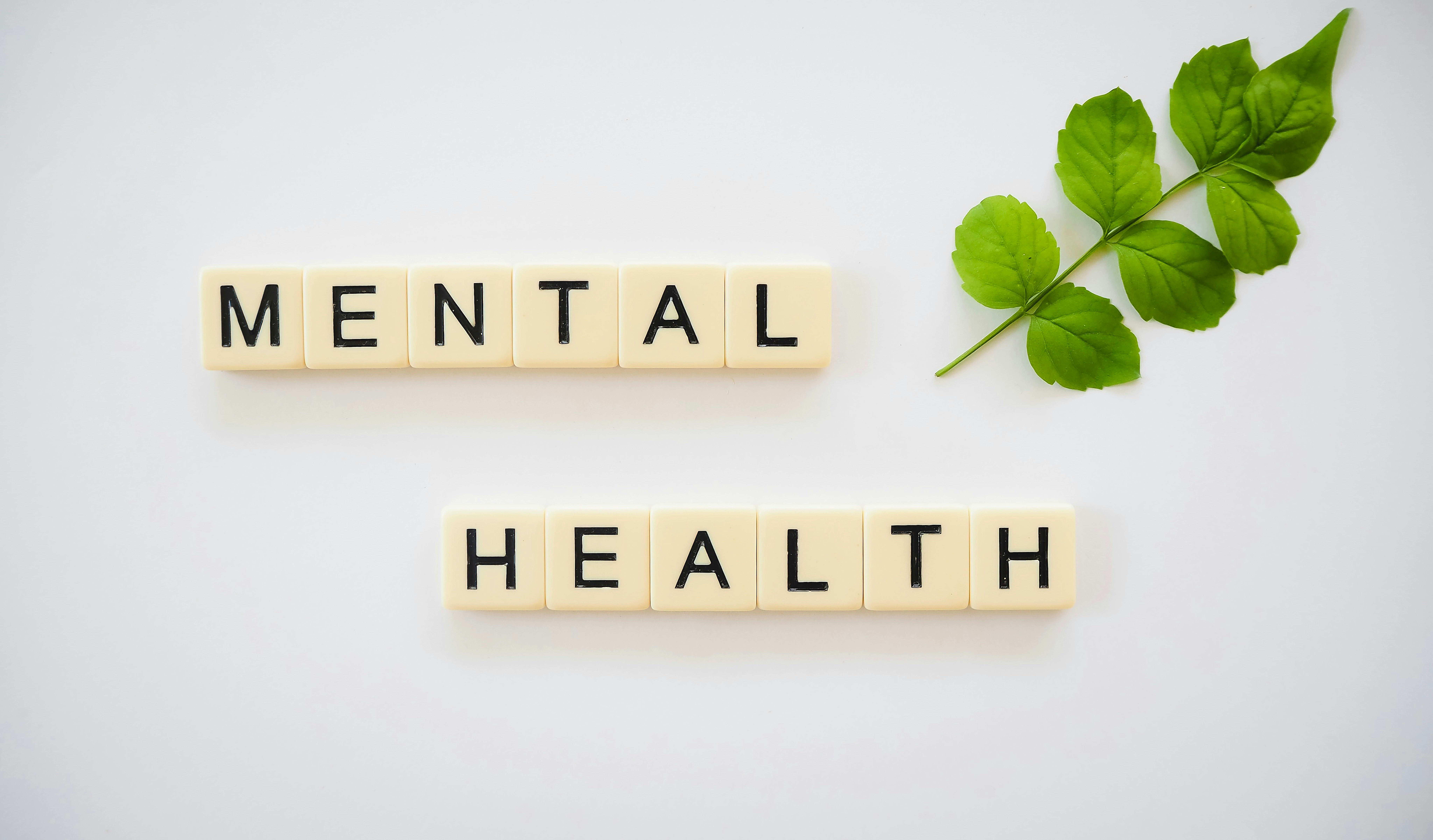 Mental Health: What Is, Well-Being, Mental Disorders, Risk and Prevention