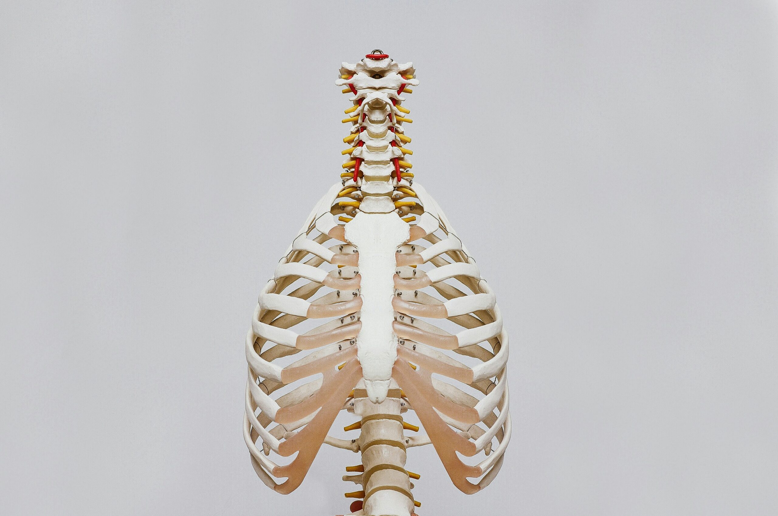 Osteoporosis: What is, Complications, Symptoms, and Treatment