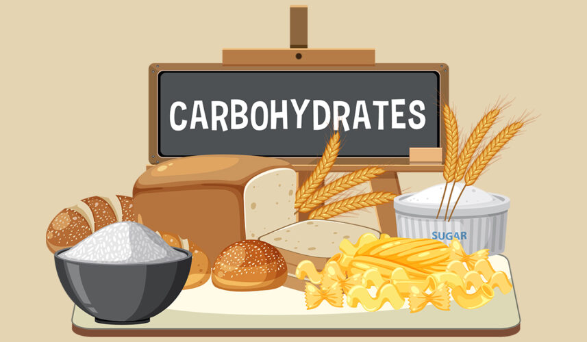 Carbohydrates: What Are, Production, Division, and Digestion
